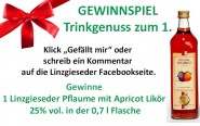 Linzgieseder - News