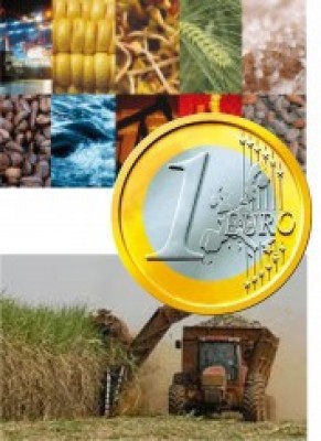 Linzgieseder - News