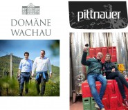 Linzgieseder - News
