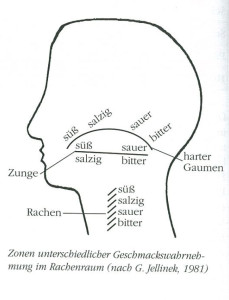 Geschmacksrichtungen